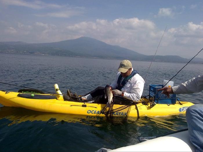 golona10