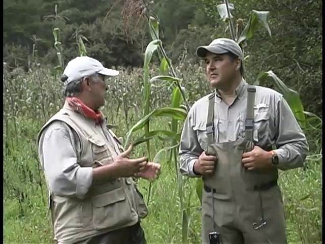Truchas salvajes de la sierra de Michoacán – Episodio 9 – Temporada 1