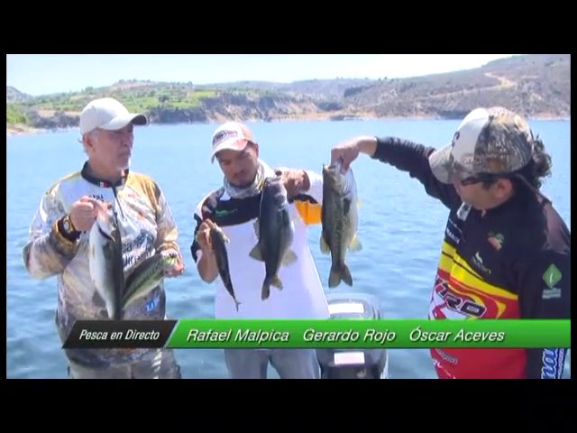 Pesca en Directo 2014: Episodio 4. Fin de la crisis lobinera en Zimapán (parte 2)