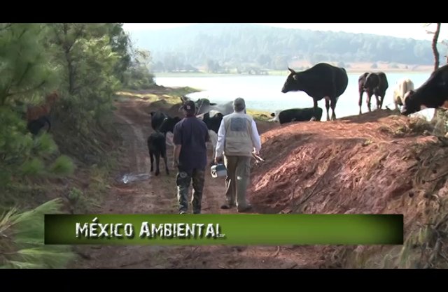 Pesca en directo 2014: Episodio 2. Violencia e inseguridad impiden salir a pescar… Umécuaro y Loma Caliente la alternativa