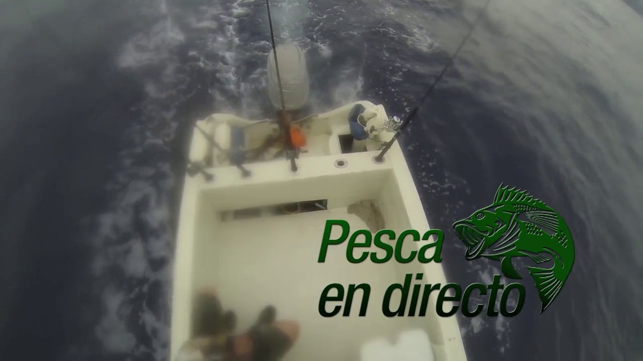 Pesca en Directo 2014: Episodio 8. Barrilete y dorado de Zihuatanejo (parte 1)