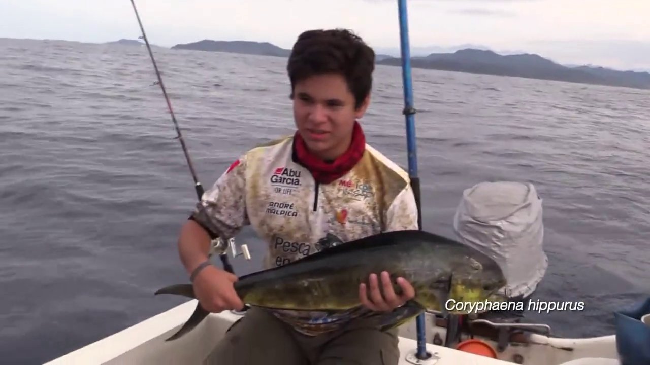 Pesca en Directo 2014: Episodio 9. Barriletes y dorado de Zihuatanejo (parte 2)