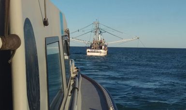 Aseguran tres embarcaciones mayores de pesca ilegal en Alto Golfo de California y delta del Río Colorado