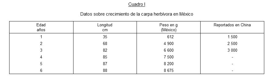 Carpa herbívora (Ctenopharyngodon idella)