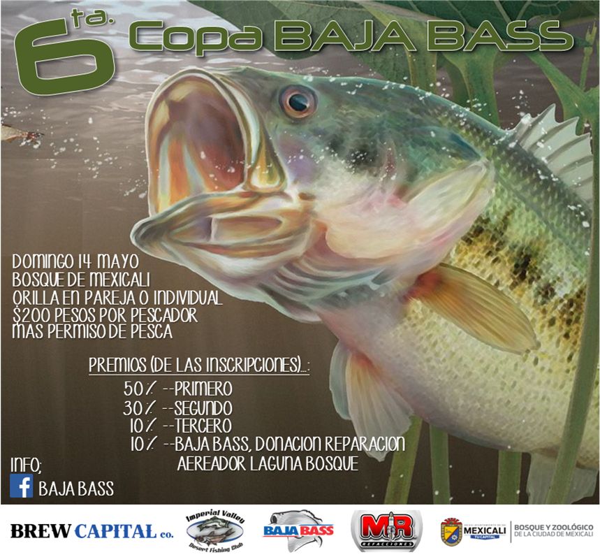 6ta. Copa “Baja Bass”
