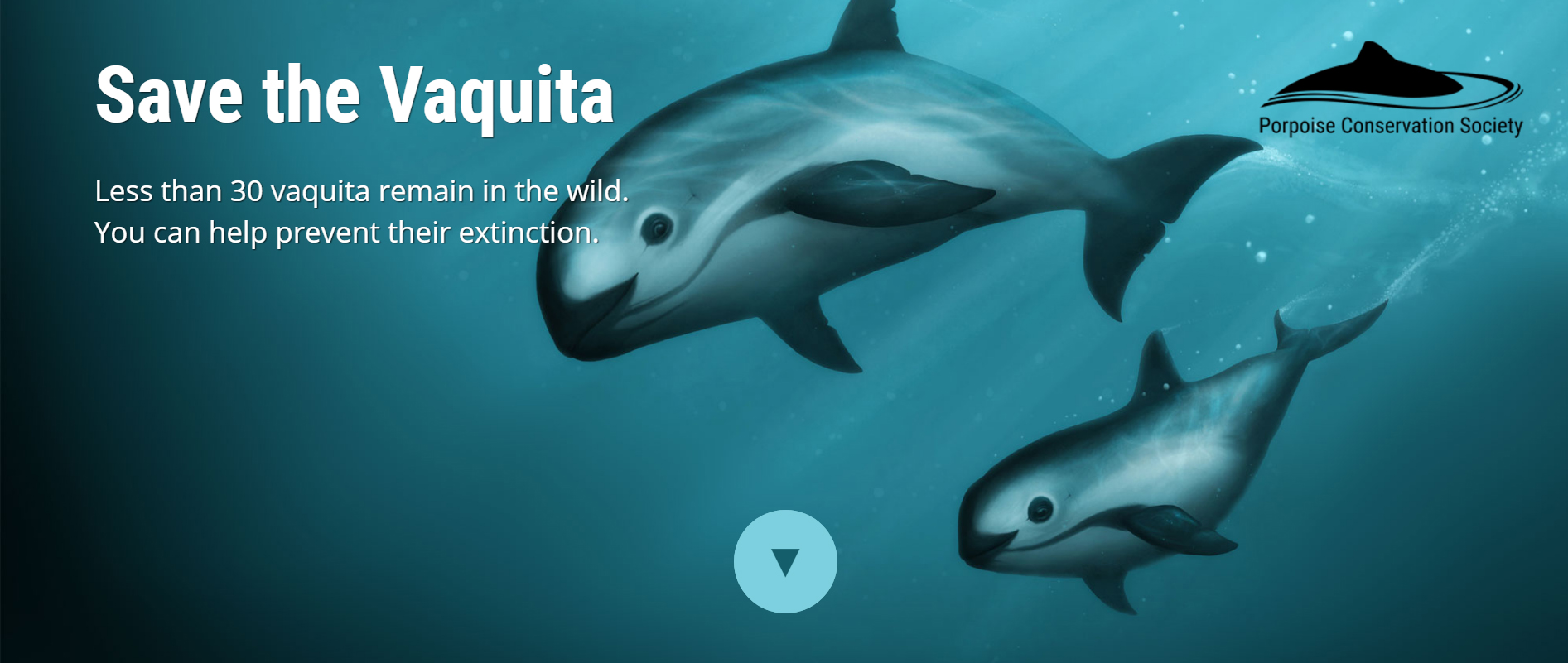 Save the Vaquita