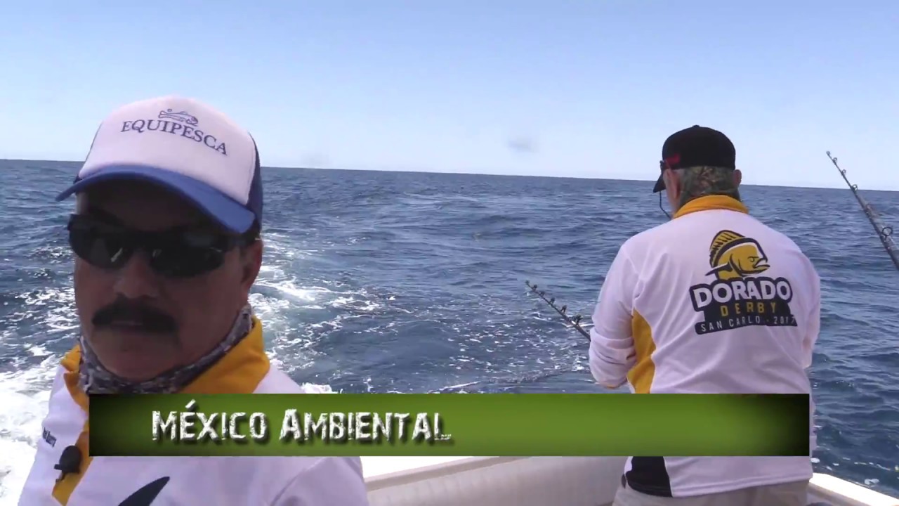 Pesca en Directo – 5to Dorado Derby San Carlos 2017 – Ep.10, Temp 7