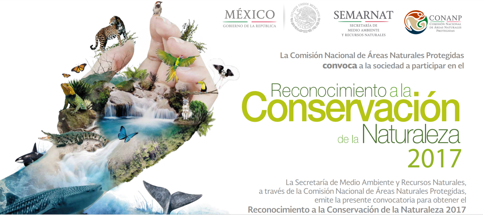 Convocatoria, Reconocimiento a la conservación de la naturaleza 2017