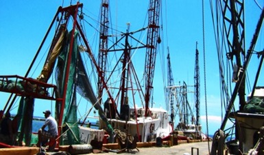 Verifican uso de dispositivos excluidores de tortugas en barcos camaroneros en el Caribe