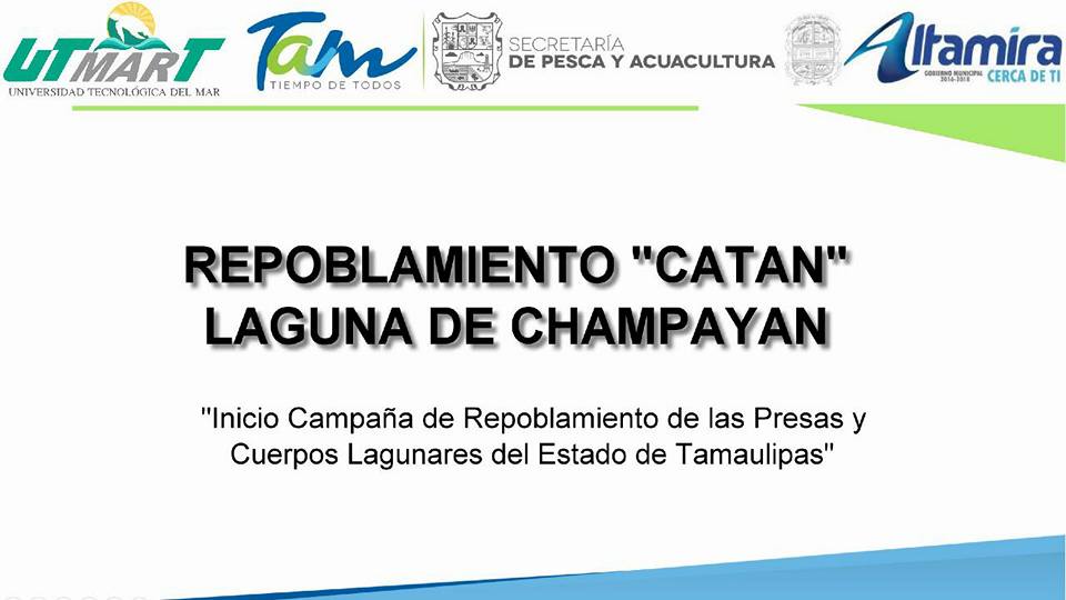 En Tamaulipas, amplia campaña de repoblamiento de peces de escama nativos