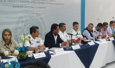 Sin profundizar en acuerdo, Estados Unidos, China y México solo pactan agenda para combatir tráfico de totoaba (Totoaba macdonaldi)
