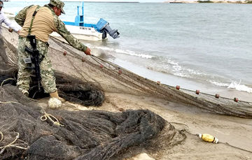 Aseguran en Tamaulipas “bolsos de corriente” para camarón, que son artes de pesca prohibidas