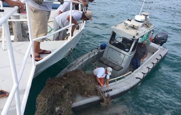 Impulsan estrategia para localizar y remover redes de pesca abandonadas en el Alto Golfo de California