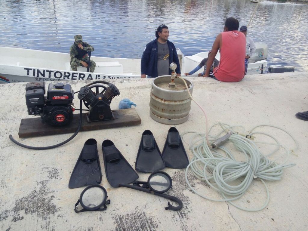 Incautan equipo para pesca, transporte, jurel y pulpo fresco en Campeche