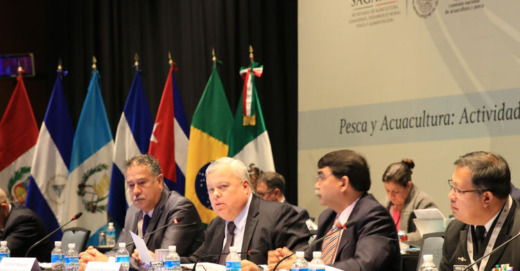 FAO: En el mundo, la acuacultura, el sector productivo de mayor crecimiento