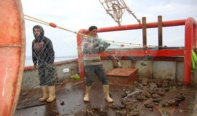 Aseguran en RBZM Bahía de Los Ángeles, Canales de Ballenas y de Salsipuedes de BC, redes y embarcaciones para pesca ilegal