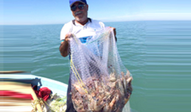Pretende INAPESCA sustituir redes de enmalle en el Alto Golfo de California con redes que ya se usan en Sinaloa