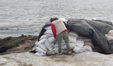 Clausuran aprovechamiento ilegal de guano en el Archipiélago Isla San Jerónimo en la Reserva de la Biósfera Islas del Pacífico en BC