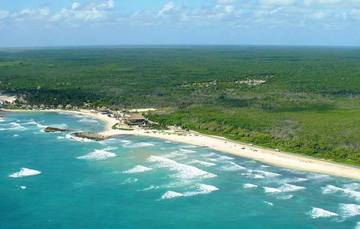 La Reserva de la Biósfera Caribe Mexicano, contiene 50 % del Sistema Arrecifal Mesoamericano