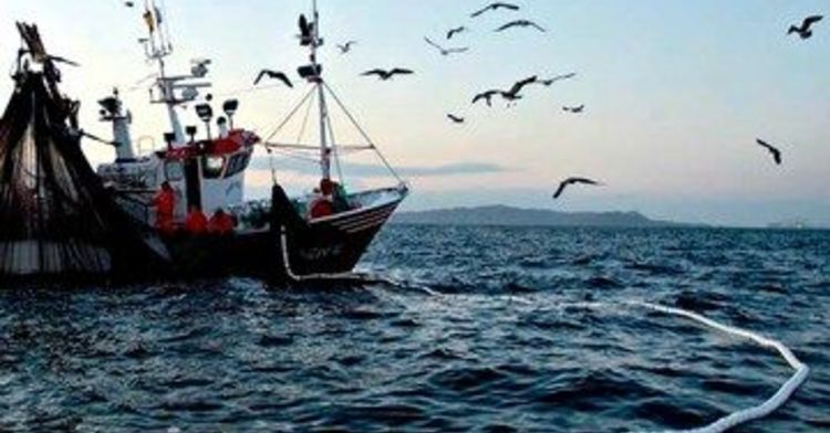 Las pesquerías mexicanas serían de las más responsables del mundo: Conapesca