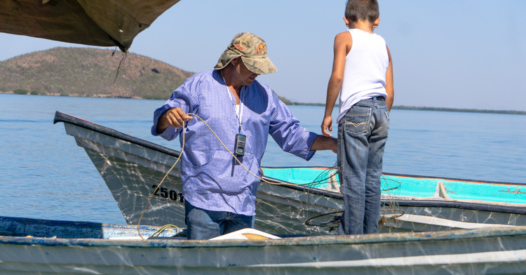 En México, los padres de familia, dentro de la pesca y acuacultura, apoyan con su trabajo la soberanía alimentaria
