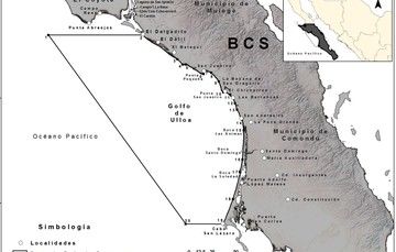 Gobierno de México amplía cinco años la vigencia de Zona de Refugio Pesquero la costa occidental de Baja California Sur (Golfo de Ulloa)