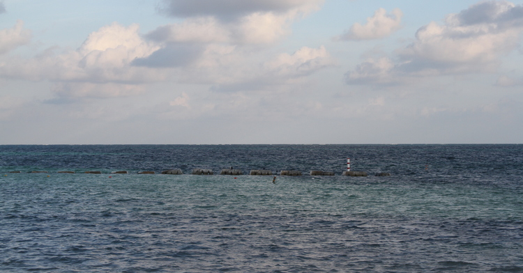 Los océanos Pacífico y Atlántico producen la enorme diversidad biológica y ecosistémica de México