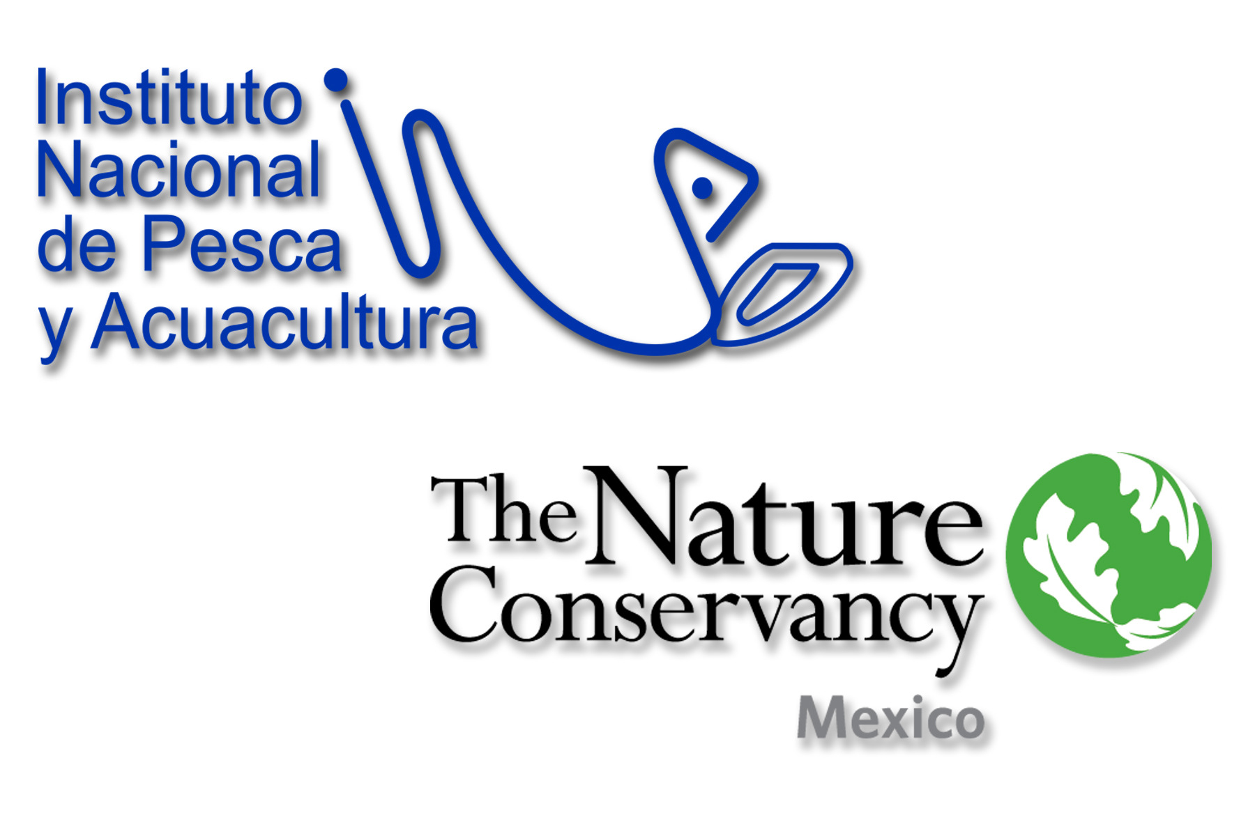 INAPESCA y TNC pactan colaboración en temas de manejo pesquero en México