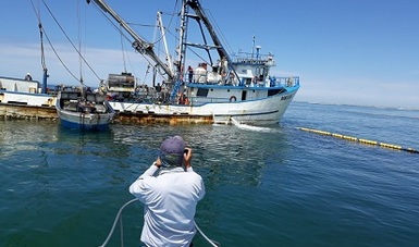 Barco sardinero para multa por pesca ilegal en la reserva de la biósfera el Vizcaíno, B.C.S.