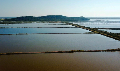 Activan seguros agropecuarios y acuícolas por huracán Willa y depresión tropical Vicente