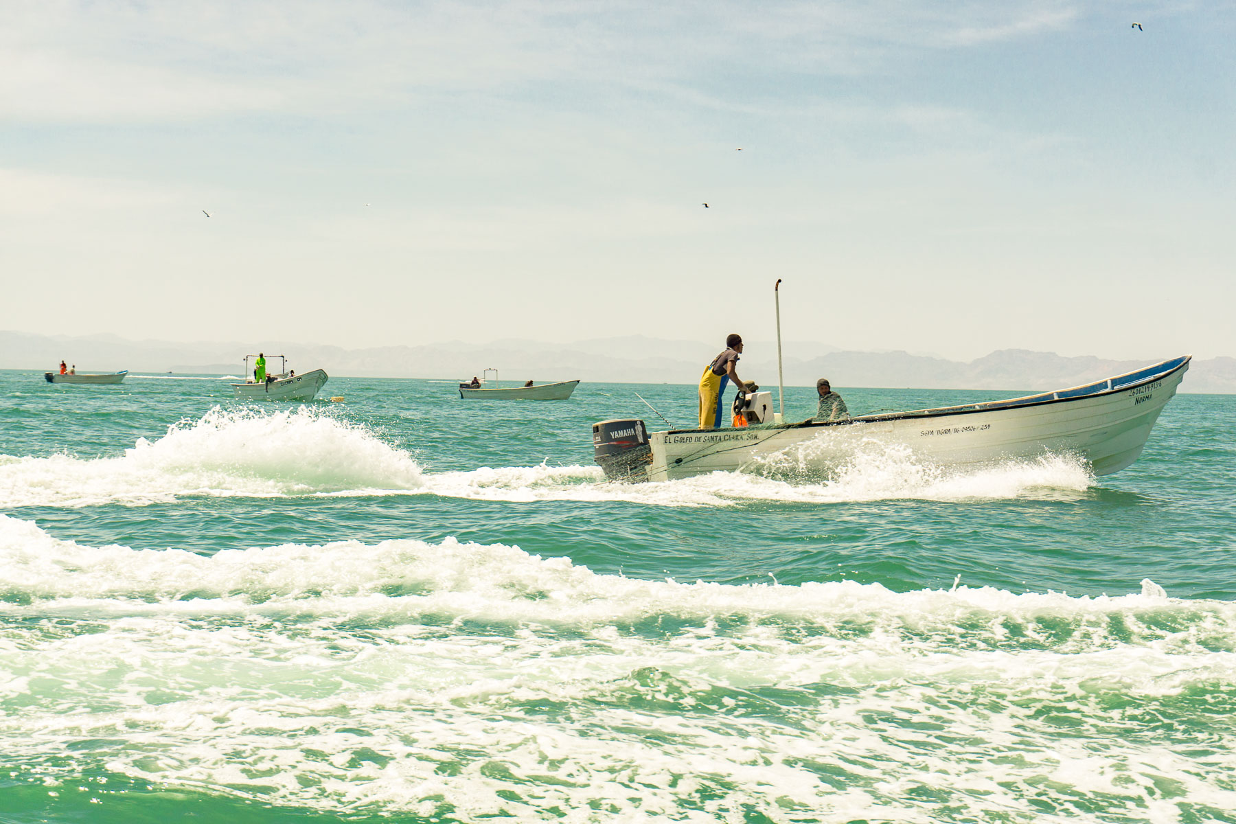 Emitió el Gobierno de EU la certificación de Comparablidad en pesquerías mexicanas del Alto Golfo de California