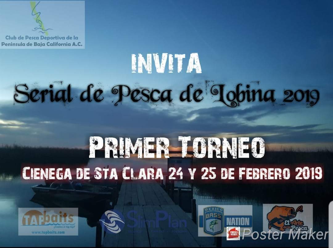 Serial de pesca de lobina 2019