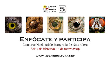 5º. Concurso Nacional de Fotografía de Naturaleza