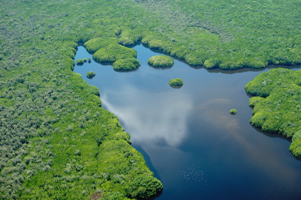 Gobierno mexicano impulsa esquemas voluntarios de áreas naturales protegidas