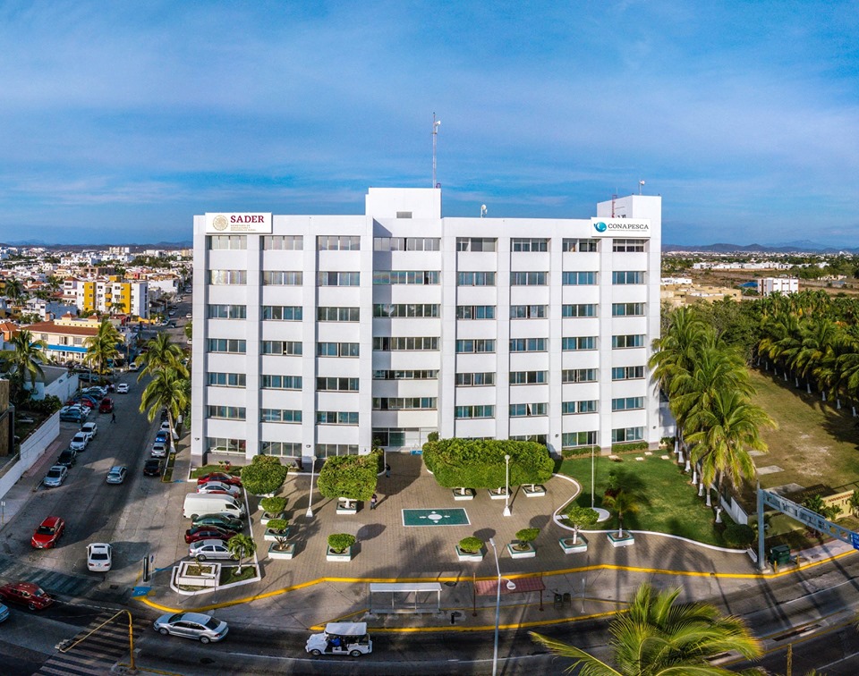 Cumple la Conapesca, 18 años de vida institucional en la rectoría de la pesca y acuacultura en México