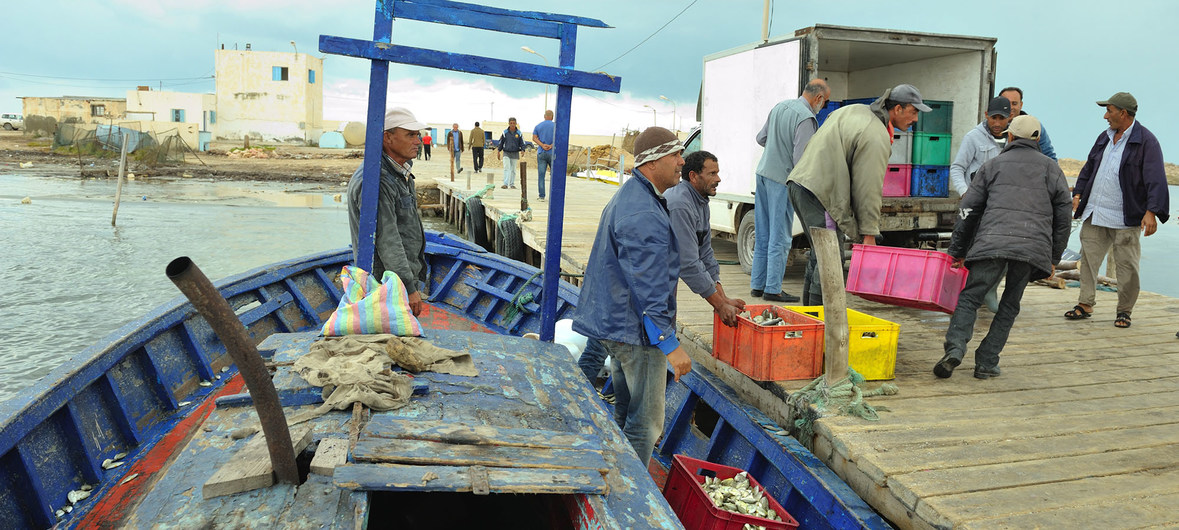 Rápida adopción del tratado contra la pesca ilegal