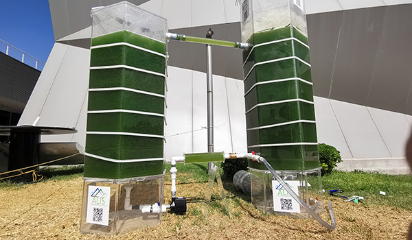 Biotecnólogos de la UANL crearían parque de captura de gases nocivos en Monterrey, para eliminar contaminación del aire