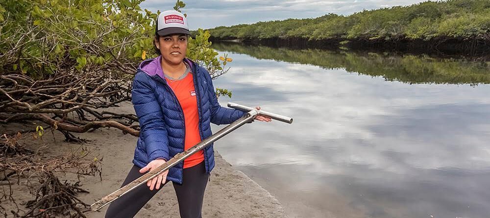 Trabajan mujeres sudcalifornianas en restauración de manglares en la Laguna de San Ignacio
