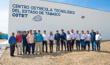 Para aumentar producción, desarrolla México su Programa Nacional de Ostricultura con el modelo de Tabasco