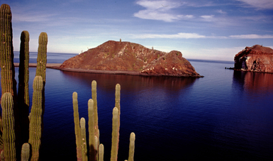 México fortalecen acciones para la conservación de las Islas y Áreas Protegidas del Golfo de California, totoaba y vaquita marina