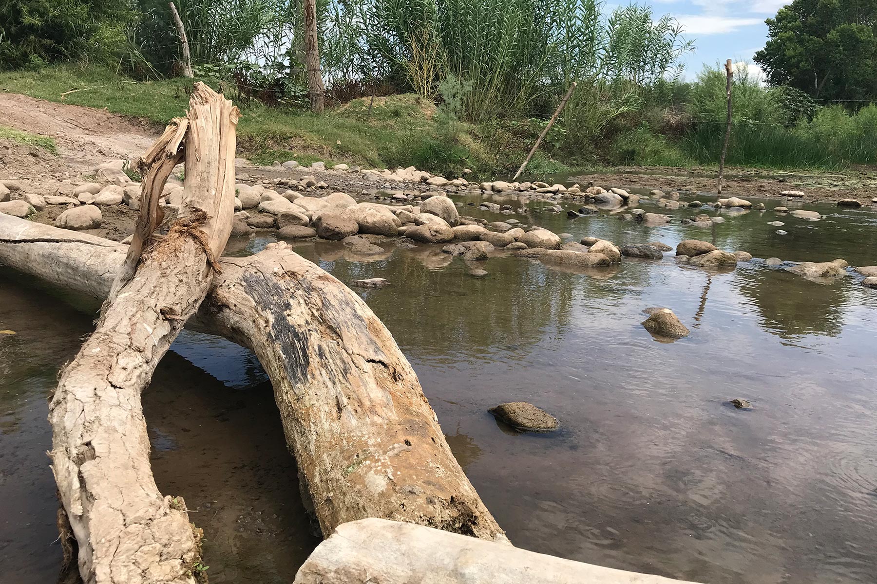 Informe Río Sonora: La omisión que quitó vida a miles