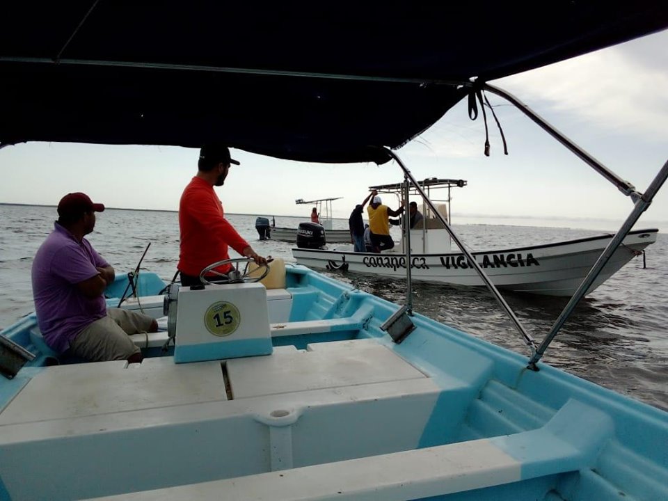 Van contra la pesca furtiva en todo México y ya se retuvieron 1.6 toneladas de productos ilegales