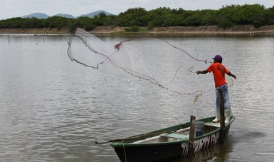 Convienen períodos de veda pesquera en embalses de Culiacán, Sinaloa