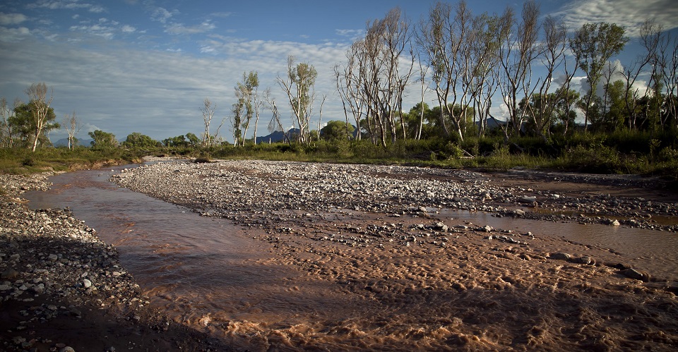 Así es la vida en las comunidades del Río Sonora, a 5 años del derrame tóxico de Grupo México