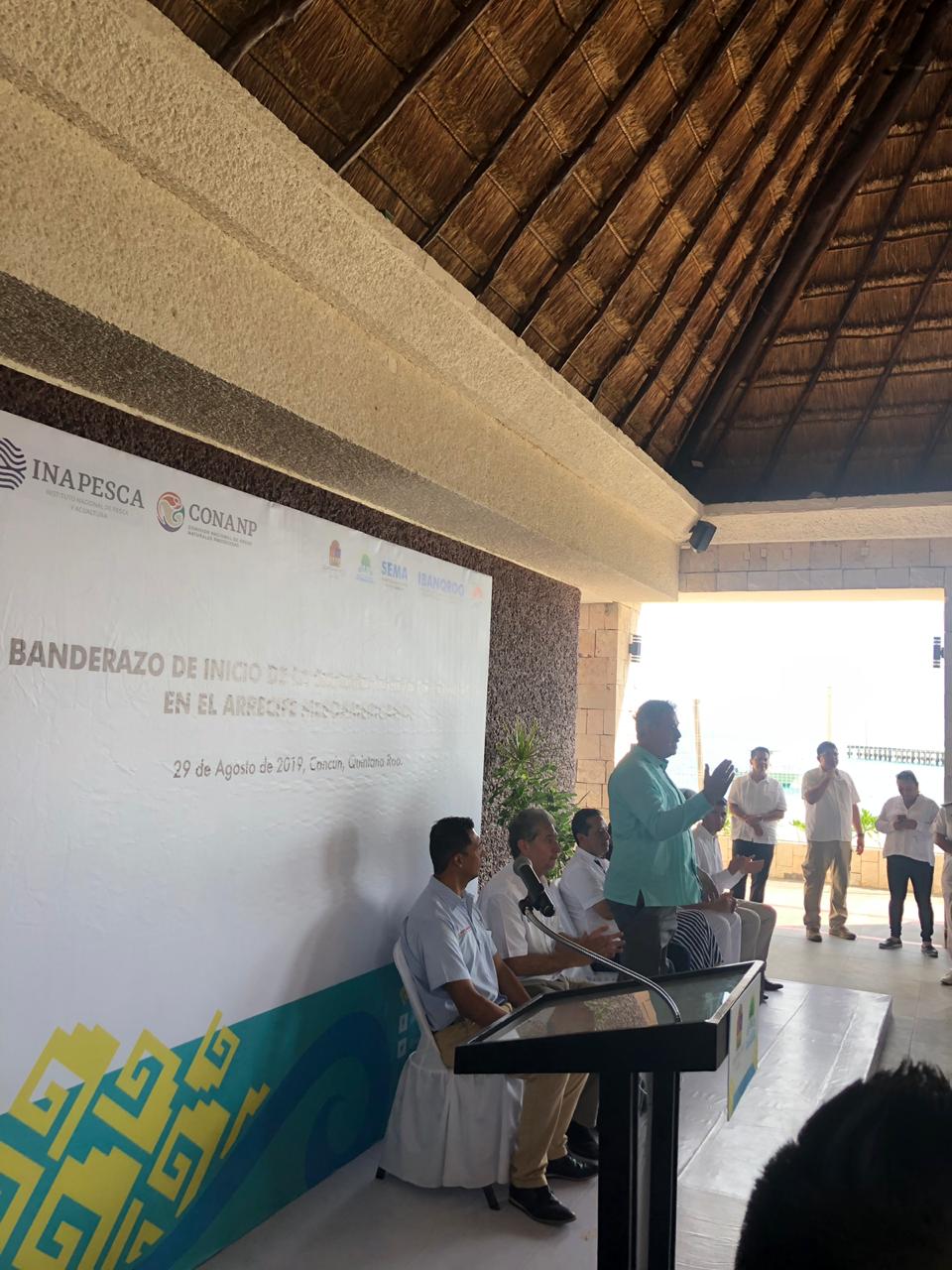 Realizan siembra masiva de colonias de coral en Quintana Roo