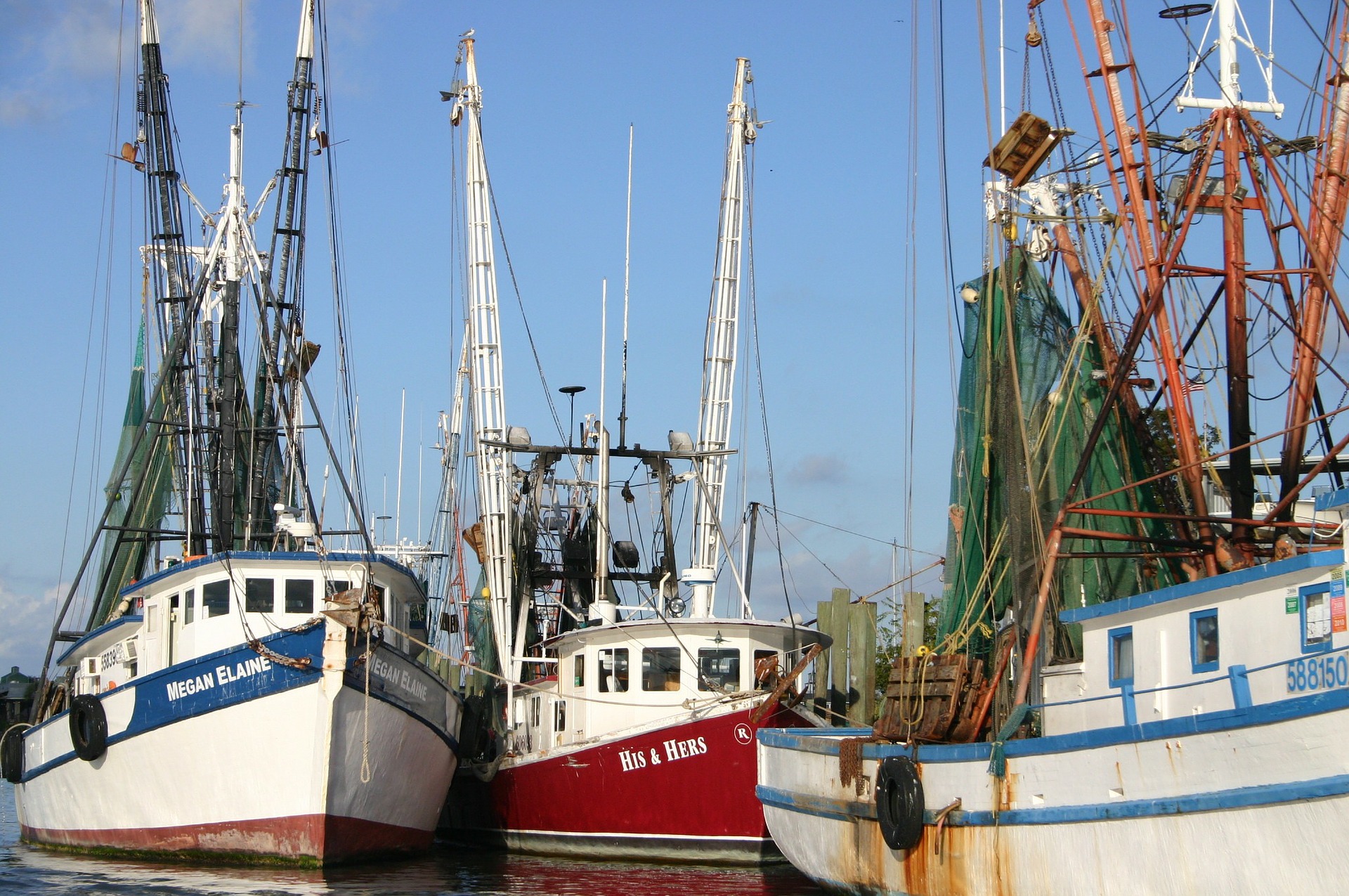 Pescadores aplican autoveda para la captura de camarón al sur de Sinaloa
