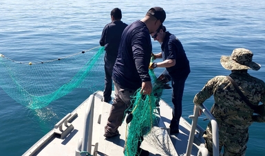 Aseguran redes totoaberas y de captura de camarón en recorridos marítimos en Baja California