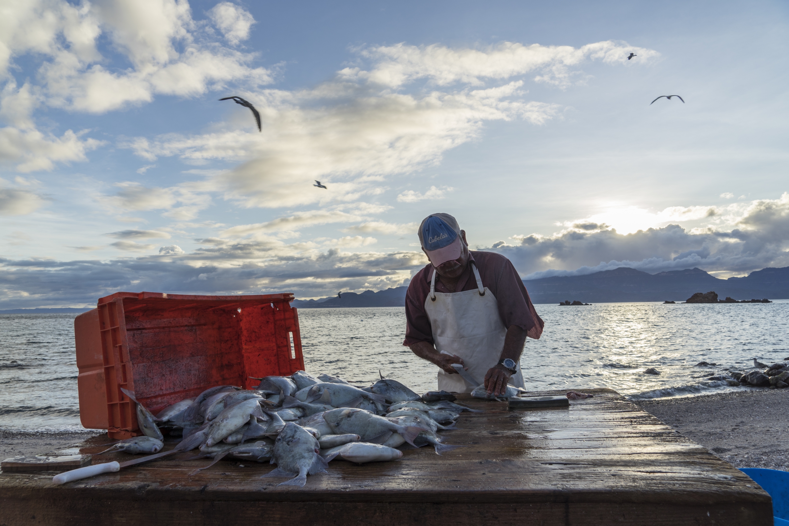 De pescadores a guardianes del mar: la historia del primer refugio pesquero de México