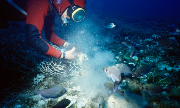 Pescadores tunecinos conducidos a profundidades peligrosas por el misterioso tizón de esponja marina