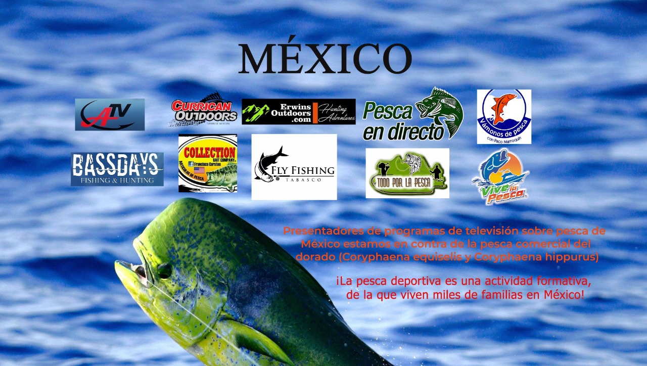 Presentadores de programas de televisión sobre pesca deportiva de México estamos en contra de la pesca comercial de dorado